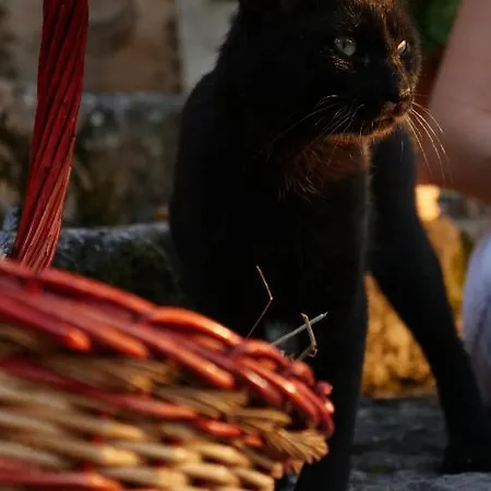 Alle Vecchie Querce *