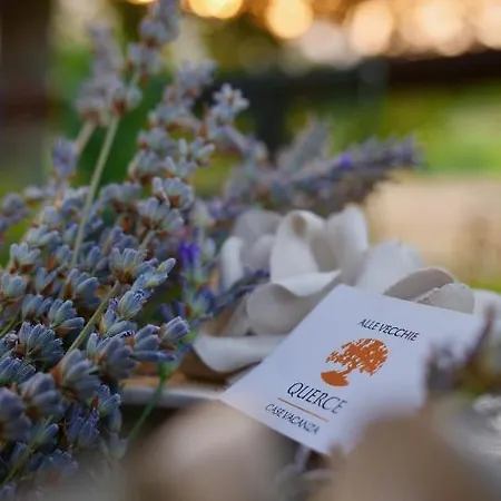 Alle Vecchie Querce Semesterbostad