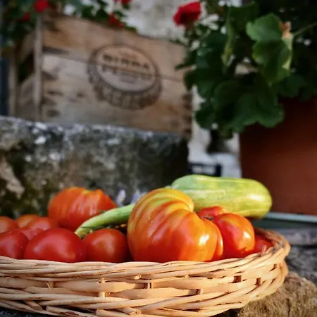 Semesterbostad Alle Vecchie Querce Fontecchio