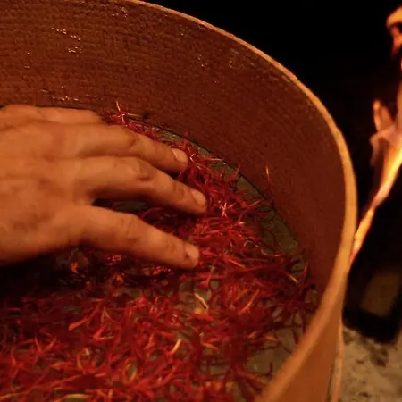 Alle Vecchie Querce Fontecchio