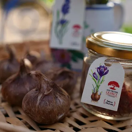 Alle Vecchie Querce Semesterbostad *