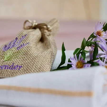 Alle Vecchie Querce Semesterbostad