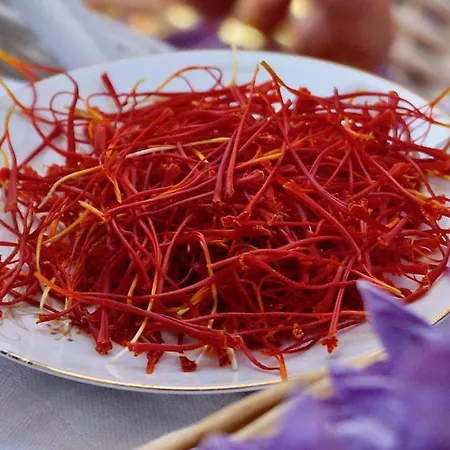 Alle Vecchie Querce *