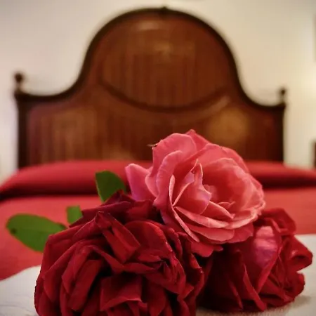 Alle Vecchie Querce Semesterbostad