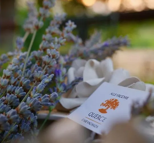 Alle Vecchie Querce Tatil Evi