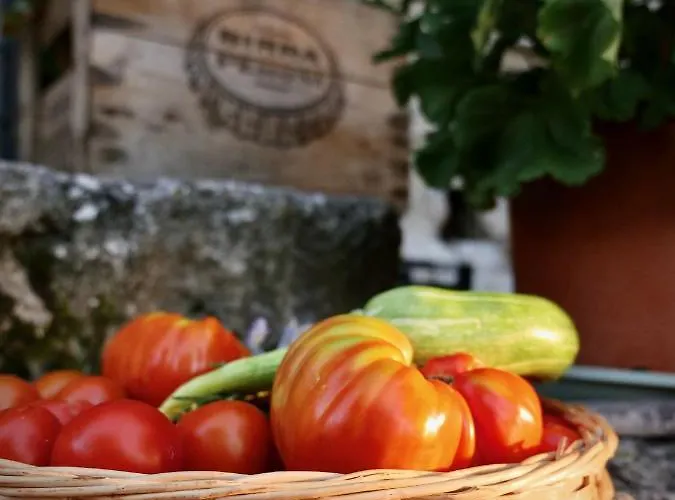 Tatil Evi Alle Vecchie Querce Fontecchio