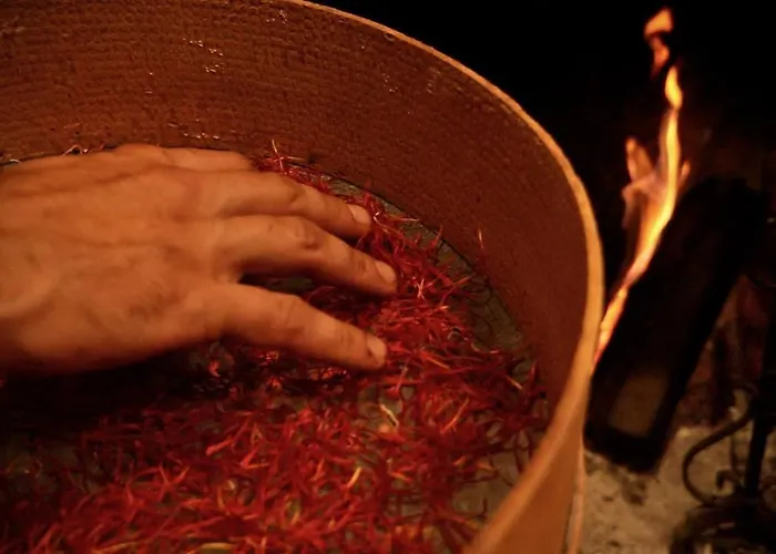 Alle Vecchie Querce Fontecchio