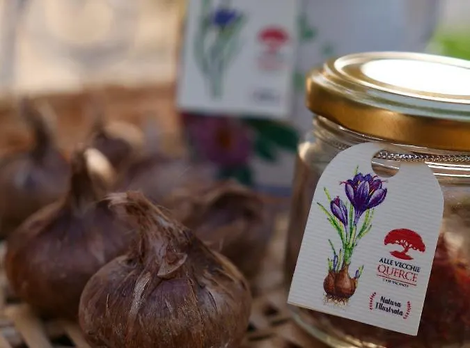 Alle Vecchie Querce Vakantiehuis *