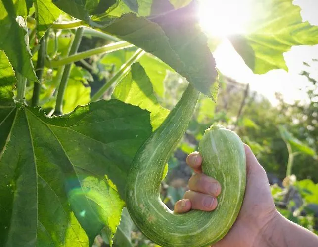 Alle Vecchie Querce Vakantiehuis