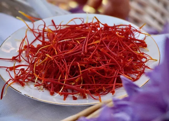 Alle Vecchie Querce *