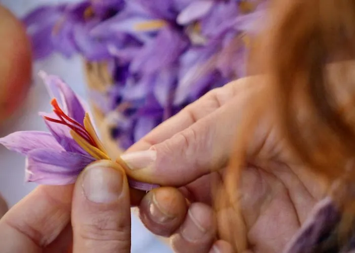 Tatil Evi Alle Vecchie Querce