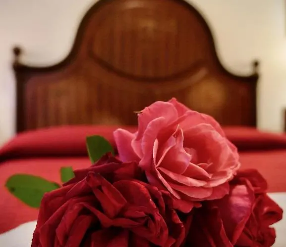 Alle Vecchie Querce Vakantiehuis